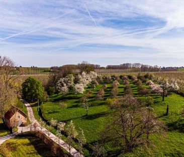 Vlaamse rust: ontstressen op een historische site, vlakbij het druk... - Photo 3