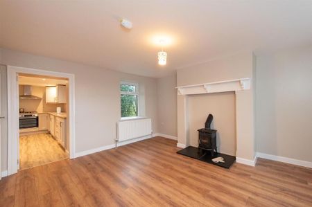 50 Mountview Road, Ballynahinch, BT24 8JU - Photo 4