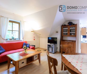 Groß-Bornhorst, gepflegtes Apartment im OG mit separatem Eingang. - Photo 4