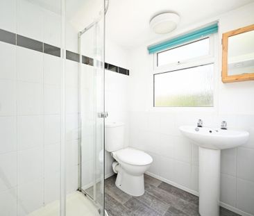 4 bedroom house share to rent - Photo 2