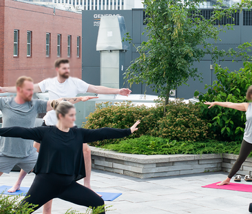 The Alexander - Photo 6