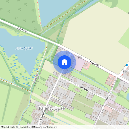 Falenty Duże, Raszyn, pruszkowski, mazowieckie