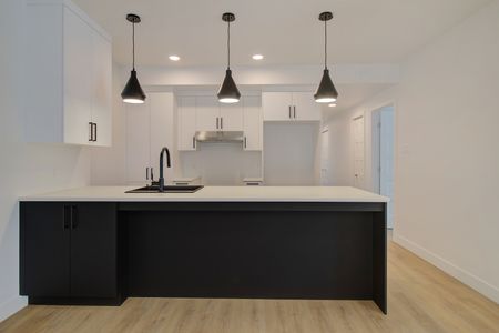 50, rue Michel-Robidoux #202, East-Angus - Photo 4