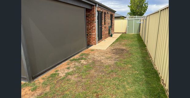 Neat, tidy and low maintenance - Photo 1