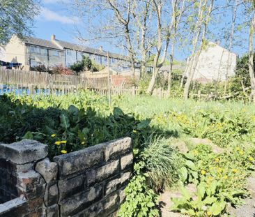 Rooley Heights - Photo 4