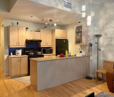 Appartement à louer - Montréal (Ville-Marie) (Centre) - Photo 5