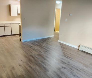 Forest Manor Ground Floor One Bedroom with Large Patio - Photo 3