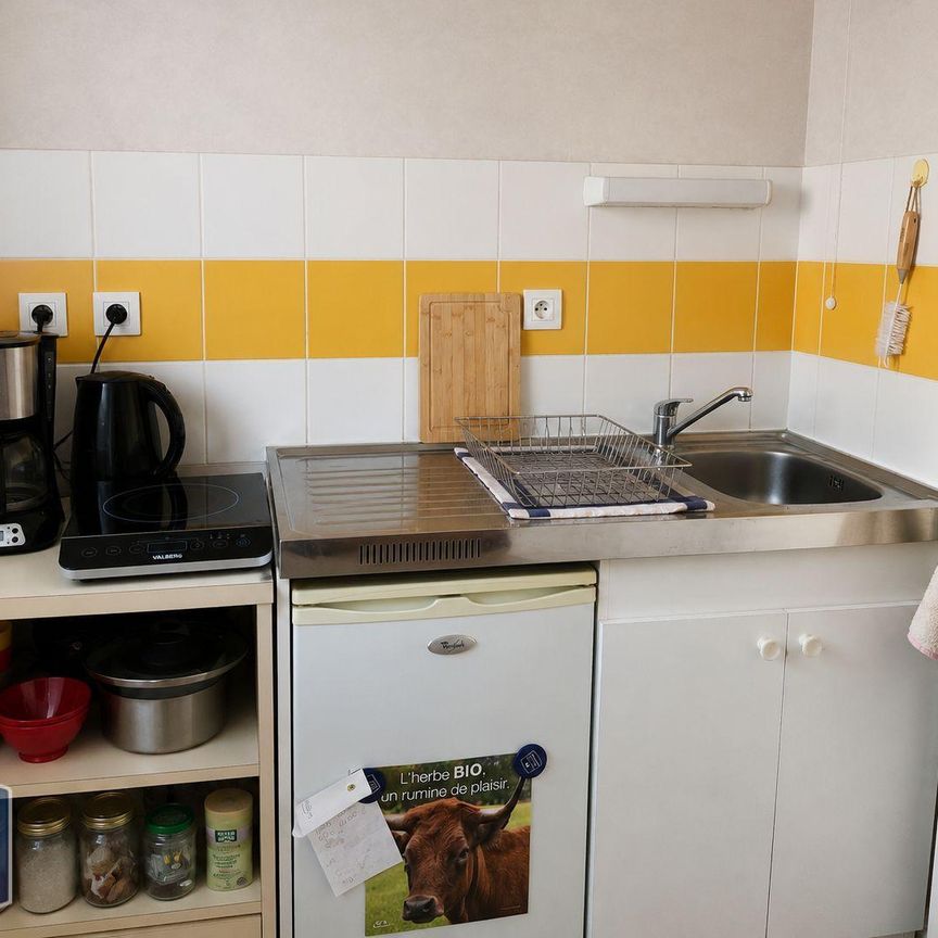 Location Appartement 1 pièce 28m² BEAUPREAU EN MAUGES 49600 - Photo 1