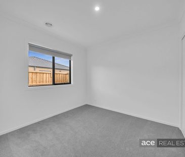 Immaculate Brand-New Family Home!! - Photo 1