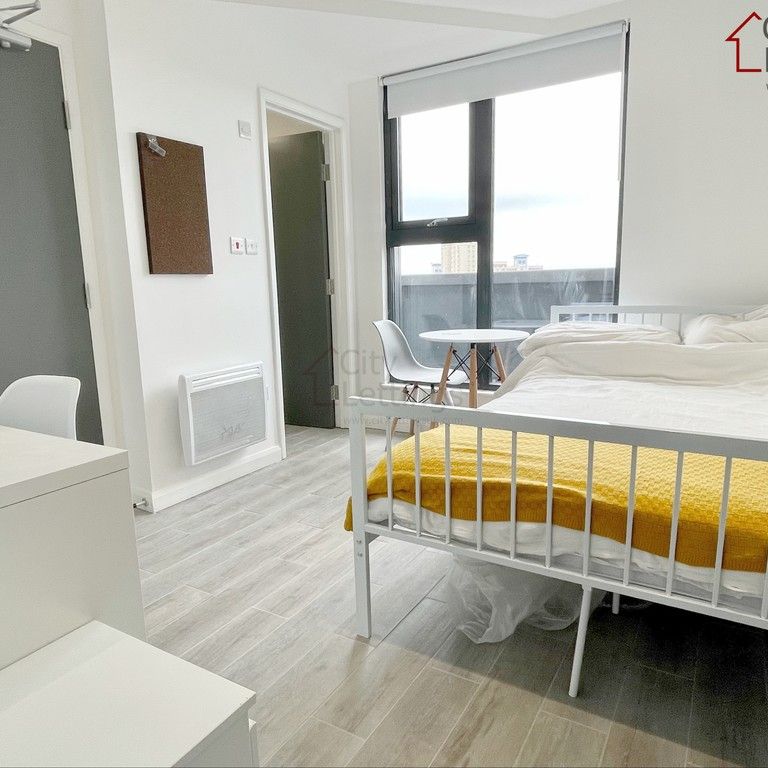 1 Bedroom Studio - Photo 1