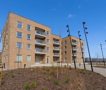 Frogley Park , Barking Riverside IG11, Property for rent - Photo 4