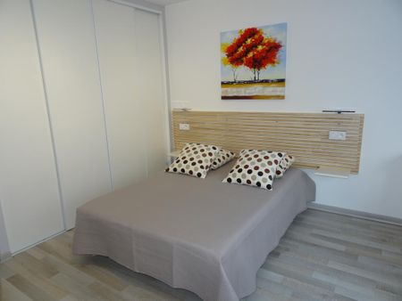 Location Appartement 1 pièce Meublé 26m² AIX LES BAINS 73100 - Photo 4