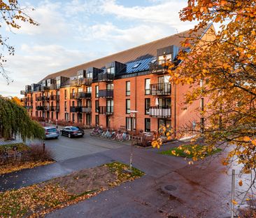 Malcusgatan, Halmstad - Photo 2