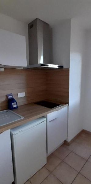 Location Appartement 3 pièces 53m² MILLAU 12100 - Photo 1