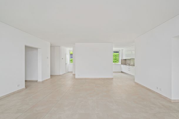 MODERNO ATTICO CON VISTA LAGO A MONTAGNOLA - Foto 1