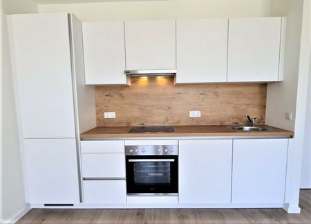 HOFRUHELAGE, JEDLESEE, 33 m2 Neubau, Einzelwohnraum, Komplettküche, Duschbad, Hofruhelage, 1. Liftstock, Anton-Bosch-Gasse - Photo 3