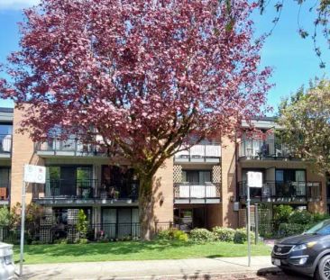Kitsilano Low rise Apartment | 2233 West 3rd Avenue, Vancouver - Photo 1