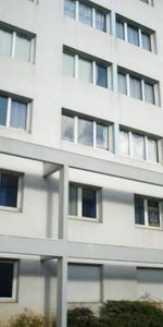 Location Appartement 1 pièce 18m² GRENOBLE 38000 - Photo 3