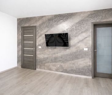 Inchiriere Garsoniera moderna, zona Vest - Penes Curcanul, - Photo 4