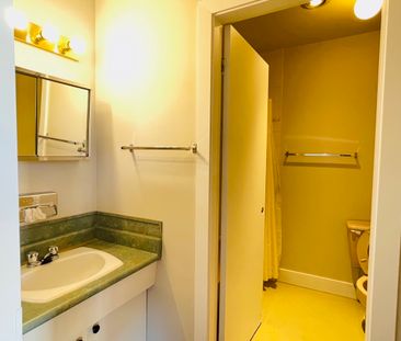 1500 Dogwood Street - 210 - Photo 3