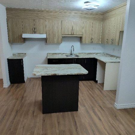 41/2 a louer au bord de l'eau - Photo 3