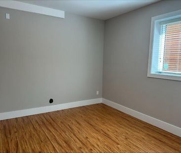 Perfect South Facing Open Space Layout 2 Bedrooms/ 1 Full Bath - Photo 5