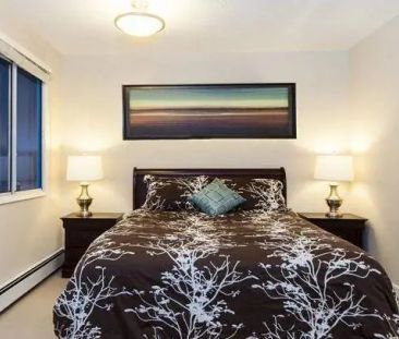 - Bachelor at Meredith Road Apartments - Photo 6