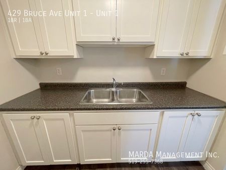 STYLISH 1-BEDROOM/1-BATH APARTMENT IN DOWNTOWN WINDSOR + HYDRO - Photo 2