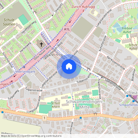 Luegislandstr, 56, 8051 Zürich