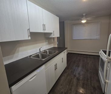 Modern 1 Bedroom Apartment Downtown Available Now - Photo 2