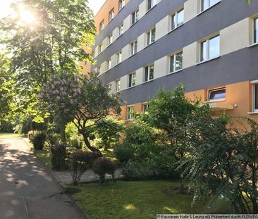 Große 2-Raum-Wohnung mit Wohnküche - Ab März 2025 - Foto 1