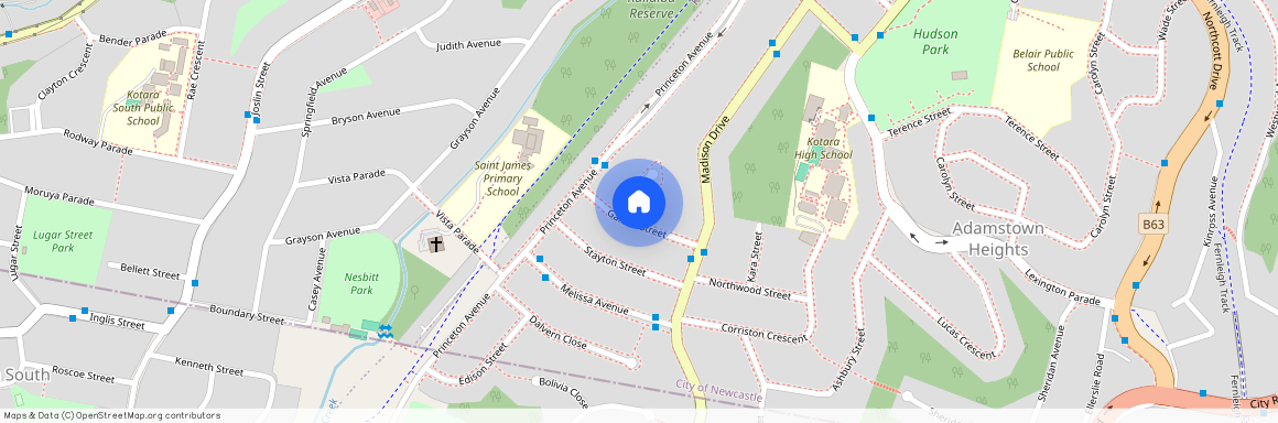 12 Galena Street, NSW 2289, Adamstown Heights