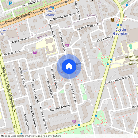 Costin Georgian, Bucuresti