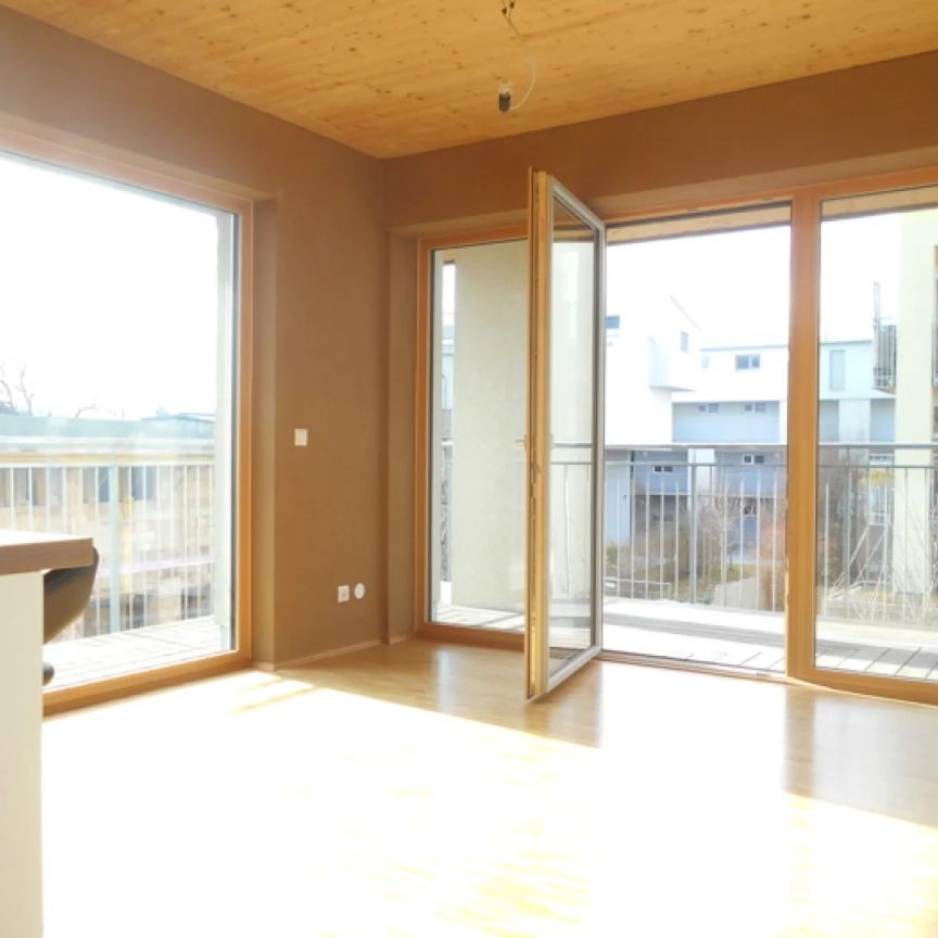 Peter Rosegger GARTEN-Terrasse>140m² 3ZI sonnig,ökologisch,familienfreundlich - Foto 1