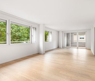 Moderne Wohnung in der Stadt Zürich - Foto 1