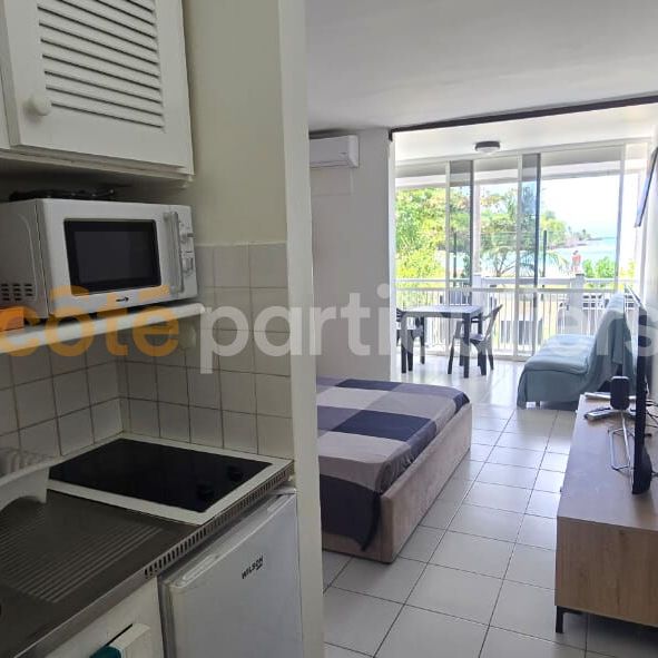 Location Appartement 1 pièce 28m² - Photo 1