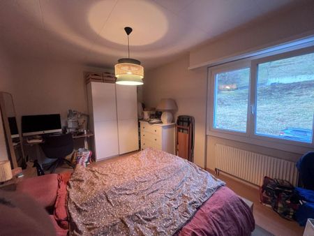 Appartement de 3,5 pièces avec vue sur le lac - Photo 5