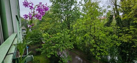 Vermietet | An der Mur-Promenade in Geidorf: Entzückende, hochwertig ausgestattete, ruhig gelegene 2-Zimmerwohnung mit Balkon und Tiefgaragenplatz - Photo 5