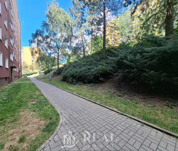 Pronájem, Byt 1+1+L, OV, 40 m - Photo 2
