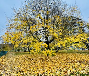 Verktumsgatan, Västra Frölunda - Photo 3