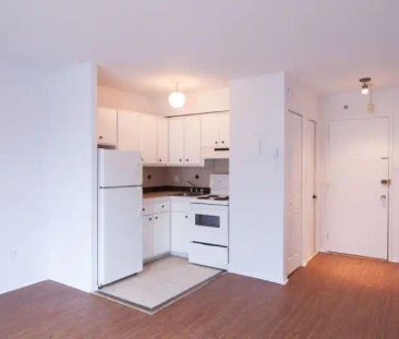 1595 Rachel | 1595 Rachel, Montreal - Photo 1