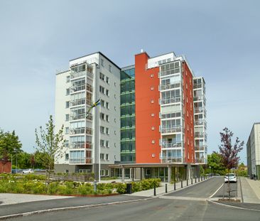 Rektorsgatan 7, Simrishamn - Photo 3