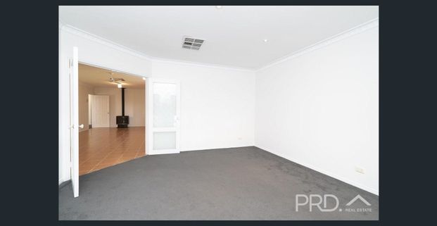 4BR, LARGE LIVING + SHEDDING - Photo 1