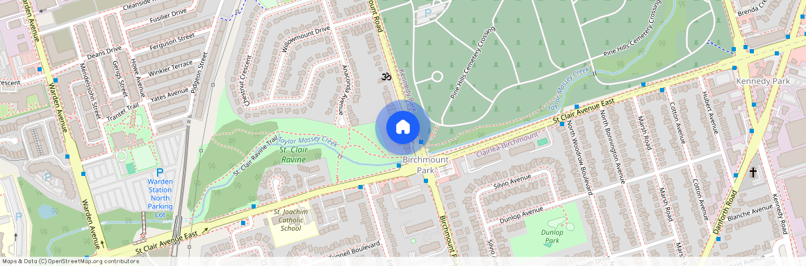 594A Birchmount Road Unit# Lower, Toronto