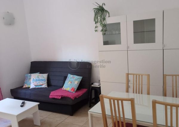 *Rent season apartment in Las Galletas