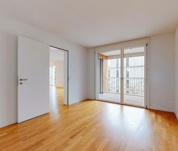 En pleine campagne - au milieu de Zurich - Photo 3