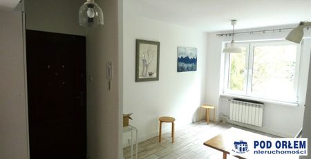 Żywiec, - Фото 2