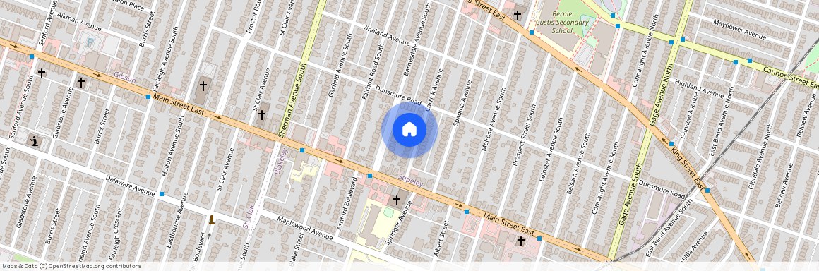 104 Carrick Avenue Unit# LOWER, Hamilton