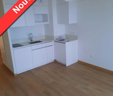 Location Appartement 2 pièces 44m² CHAMPS SUR MARNE 77420 - Photo 1