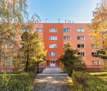 Kawalerka na wynajem - Фото 4